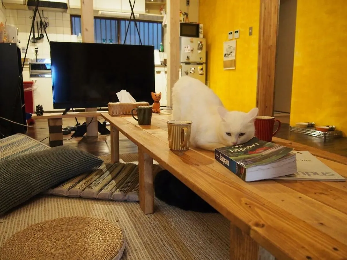 Mad Cat Hostel Osaka & Bar